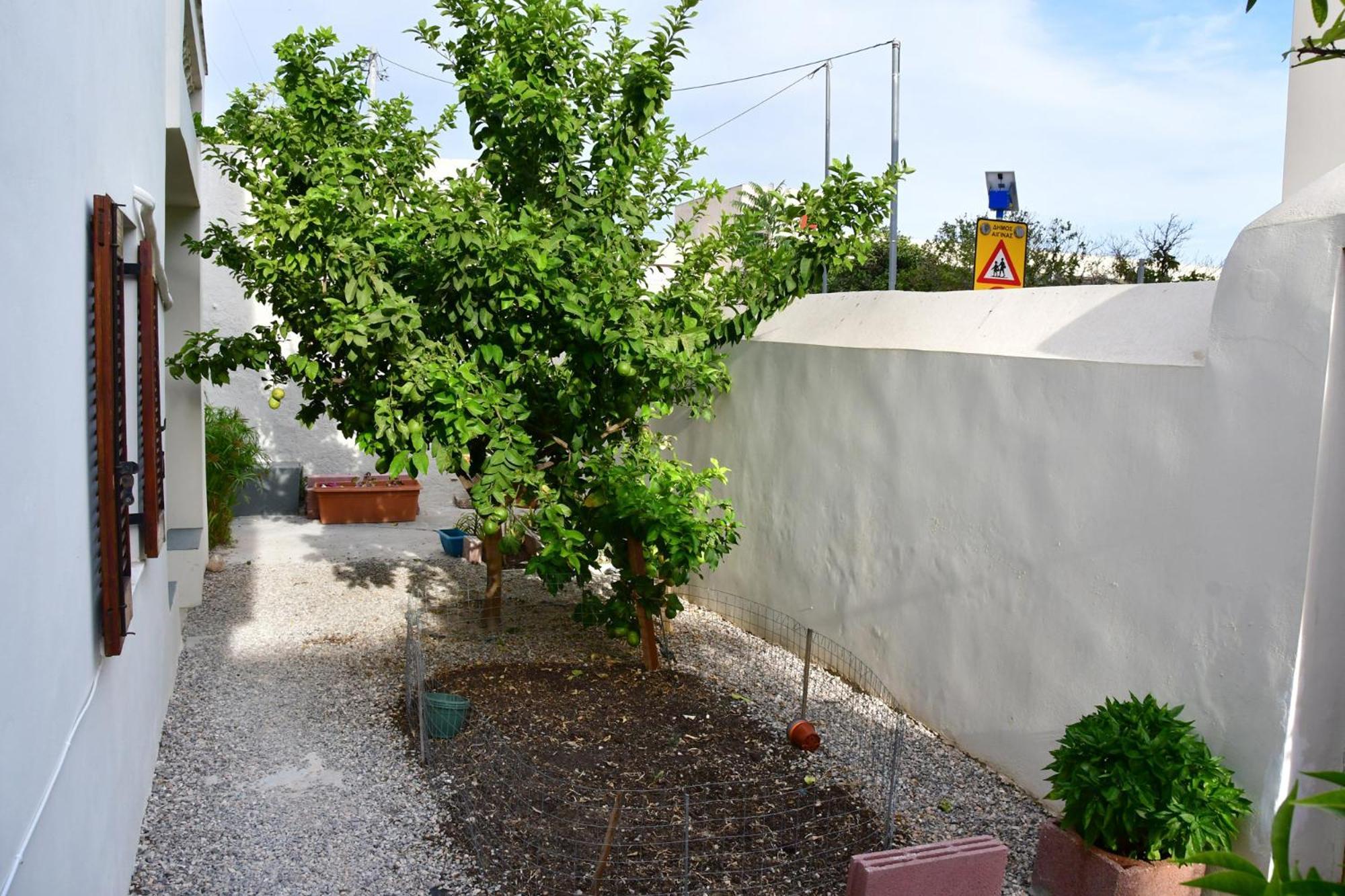 Αρχοντικό Σπίτι Στην Αίγινα Apartment Екстериор снимка